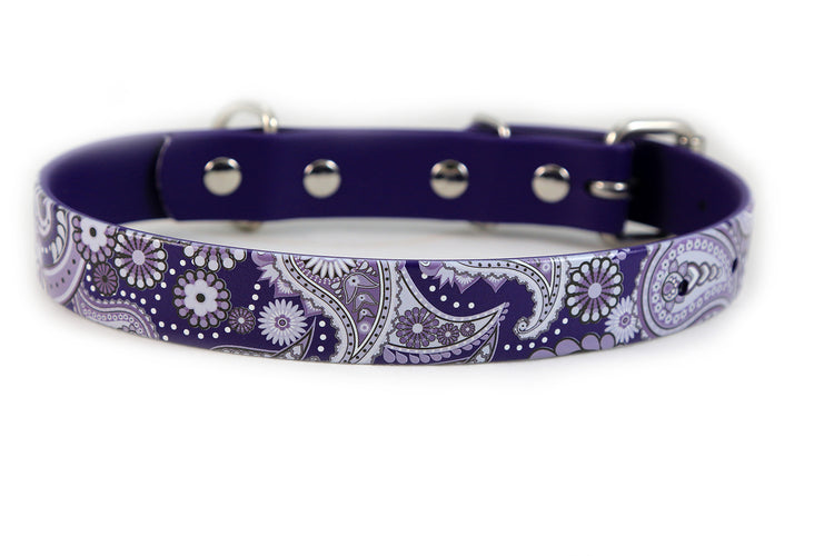 Purple Paisley Waterproof Sport Dog Collar - 1 inch